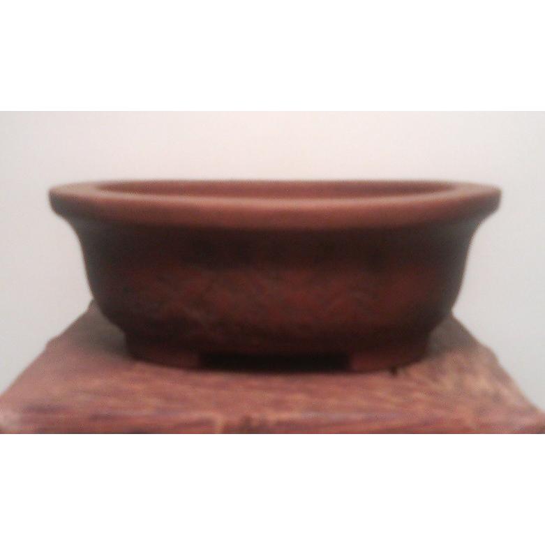 ✴️再お値下げ☆盆栽　盆栽鉢　泥珠　常滑焼 盆栽鉢 小判エン付鉢 瀬戸焼 (8号(約24センチ), ウ泥) – うめ