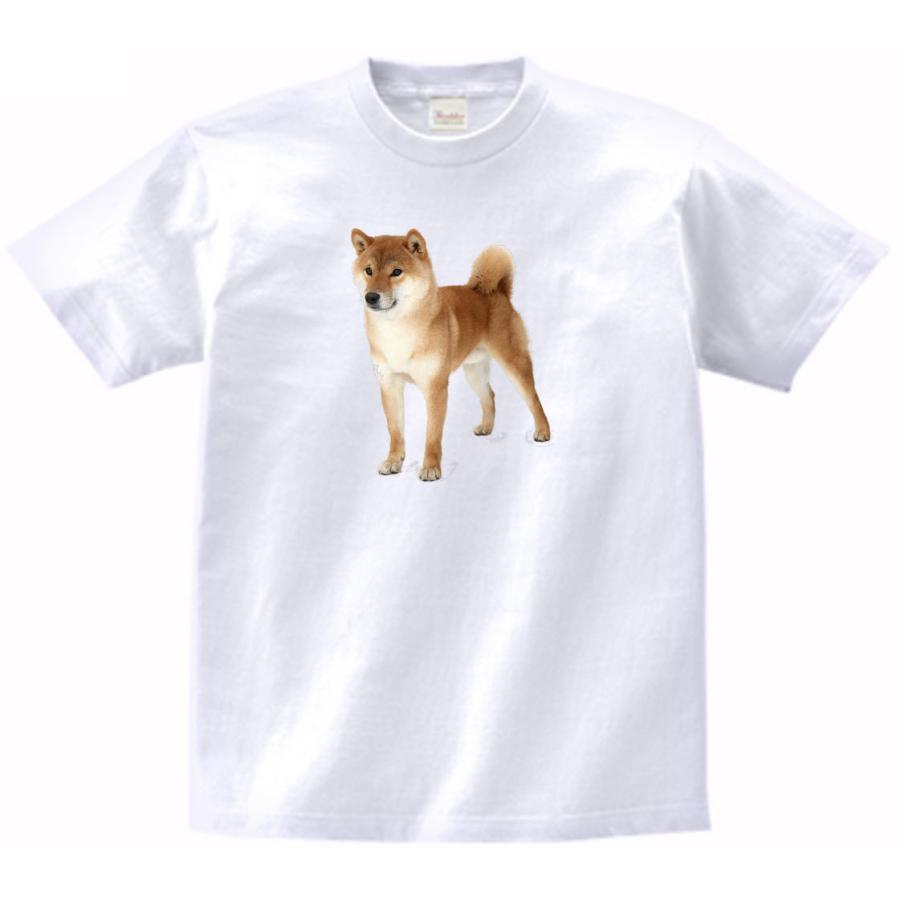 柴犬　動物・生き物　Tシャツ　　 の商品画像