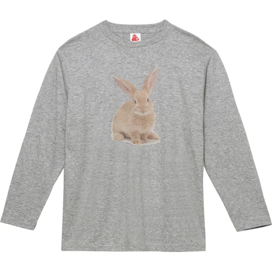 うさぎ 動物・生き物 長袖Tシャツ ロングスリーブ グレー : うえきたや