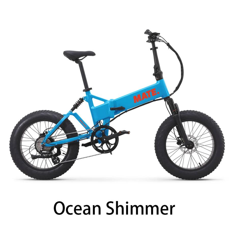 対面販売】MATE.BIKE (メイトバイク) MATE X EVO Naked package 