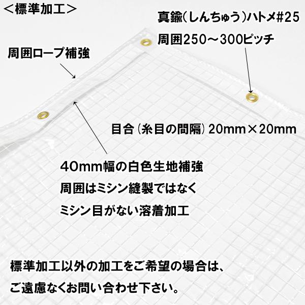 専用糸入りビニールカーテン　4200×2500 専用糸入りビニールカーテン 4200×2500 専用糸入りビニールカーテン
