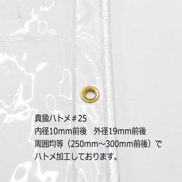 ビニールカーテン 透明 0.3mm厚x幅220-260cmx高さ180-200cm : 上村