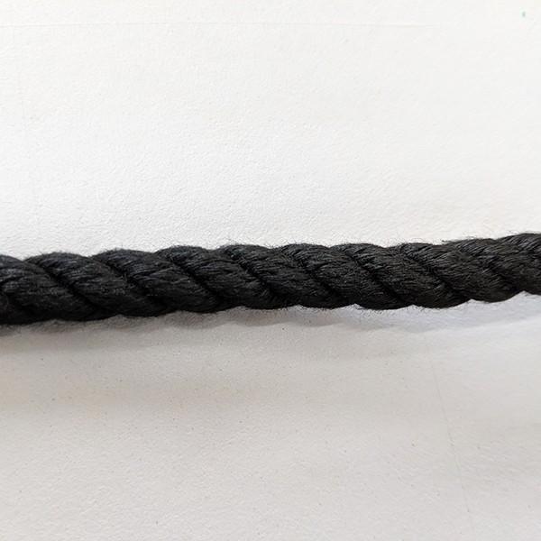クレモナロープ 黒色 直径 6mm×長さ200m :rope-8107:上村シート ヤフー 