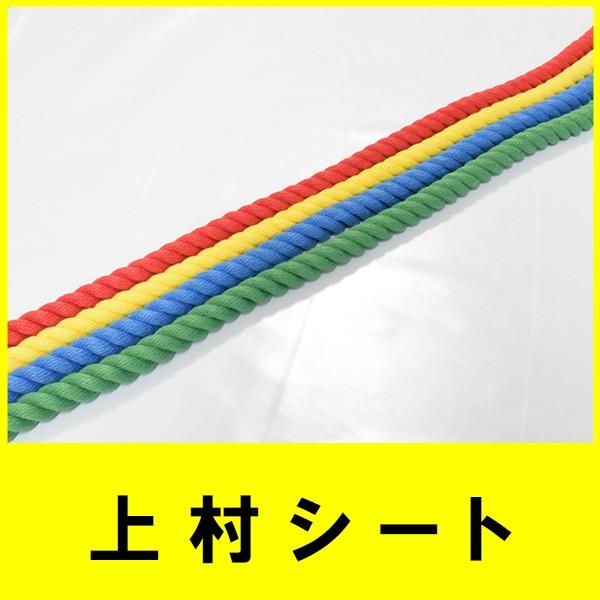 巻売り販売 エステルカラーロープ 直径16mmx200ｍ巻 カラーロープ 長尺