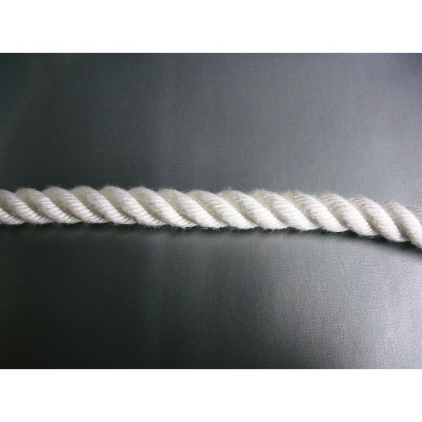 クレモナSロープ 直径14mmx長さ40m 合成繊維ロープ :rope-k1405:上村 