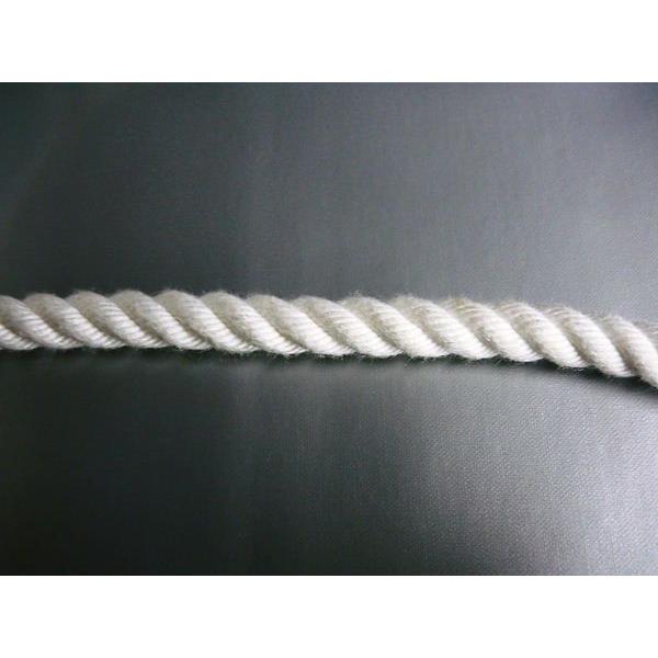 クレモナS縄索 差しわたし20mmx長さ15m
