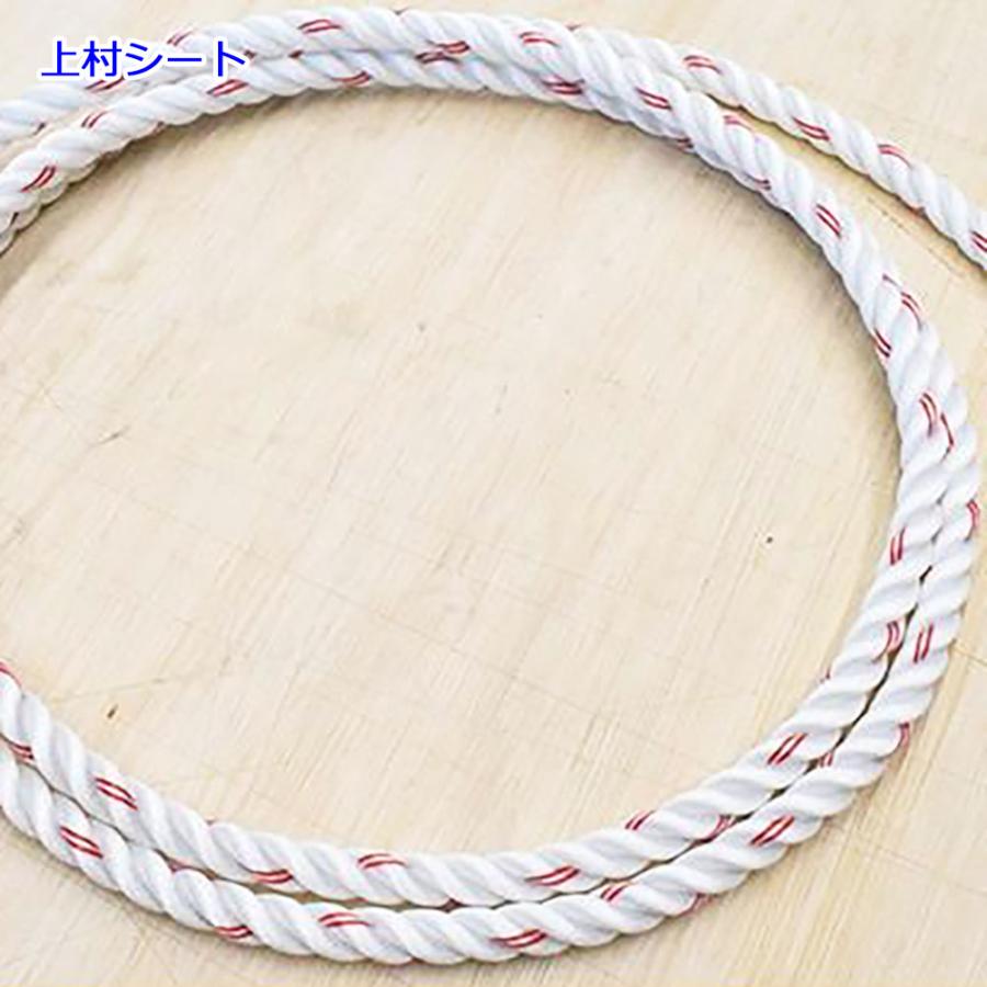 レンジャーロープ レスキュー用ロープ 東京製綱 直径12mm M打ち白/赤