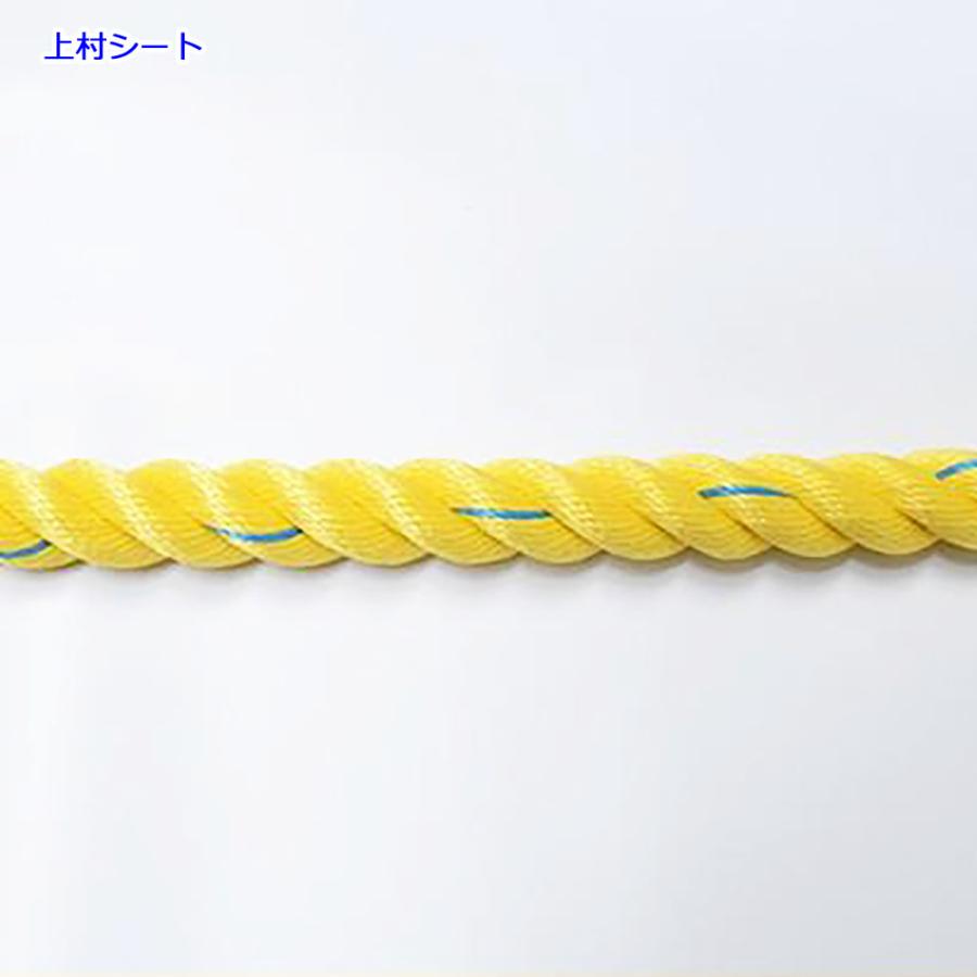 スーパーセーブロープ 親綱 のり面ロープ 18mmx200m テザック : 上村