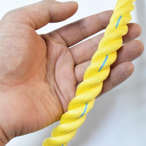 スーパーセーブロープ 親綱 のり面ロープ 18mmx200m テザック : 上村