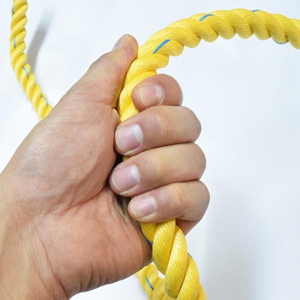 スーパーセーブロープ 親綱 のり面ロープ 18mmx200m テザック : 上村