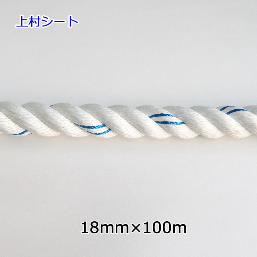 シグナルロープ のり面工事用親綱 法面工事用ロープ 親綱ロープ 直径18mmx100m : 上村シート ヤフー店 - 通販 - Yahoo ...