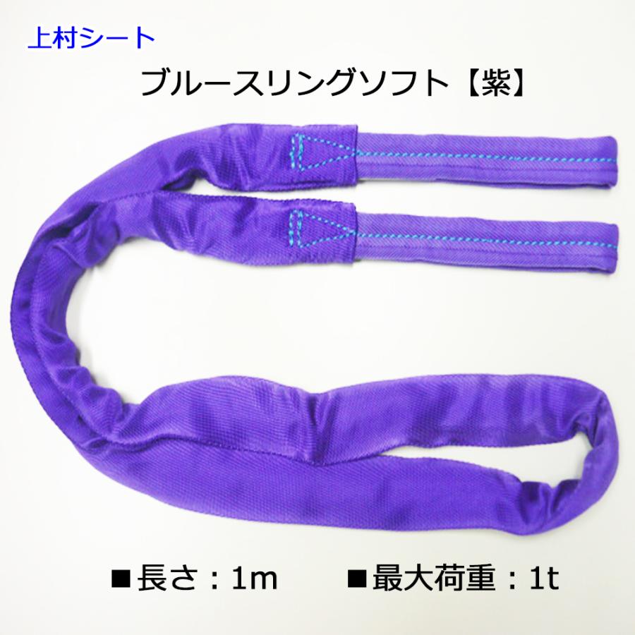 テザック ブルースリングソフト 最大使用荷重 1t 長さ1m 紫色 両端アイ