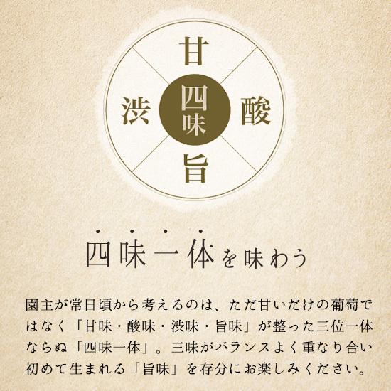 （訳あり）【加工用】シャインマスカット＜バラ混合＞　長野の果樹園直送！4〜4.5キロ【本州送料込み！】｜uenoharakajuen｜08