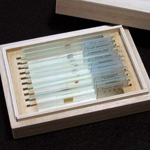 顕微鏡プレパラート上野科学社製植物組織74種