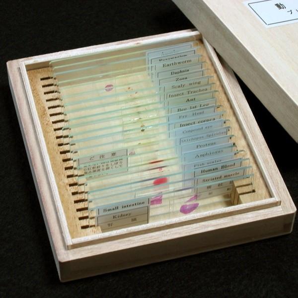 動物プレパラート 20種（顕微鏡標本セット） : 上野科学社Yahoo