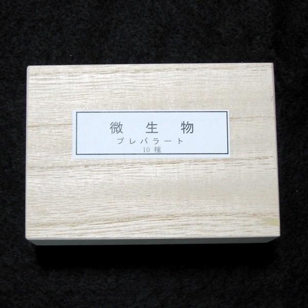 微生物プレパラート 10種（顕微鏡用標本セット） : 上野科学社