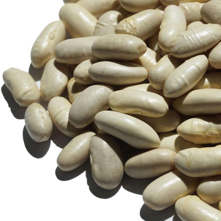 ホワイト ビーンズ 500g white pea bean インゲンマメ 豆 まめ ホワイトビーンズ ホワイトノーザン ノーザン 白豆 white pea bean アメ横 大津屋|uenoohtsuya|02