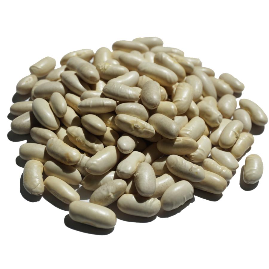 ホワイト ビーンズ 500g white pea bean インゲンマメ 豆 まめ ホワイトビーンズ ホワイトノーザン ノーザン 白豆 white pea bean アメ横 大津屋|uenoohtsuya|03
