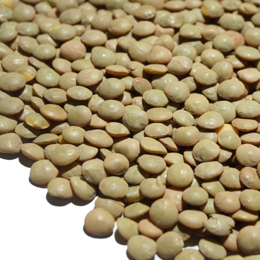 ブラウン レンテル 1kg 茶 lentil レンズマメ 扁豆 ヒラマメ レンズ豆 皮つき マッスルホール マスールダール マッスルダール sabut masoor masoor dal|uenoohtsuya|02