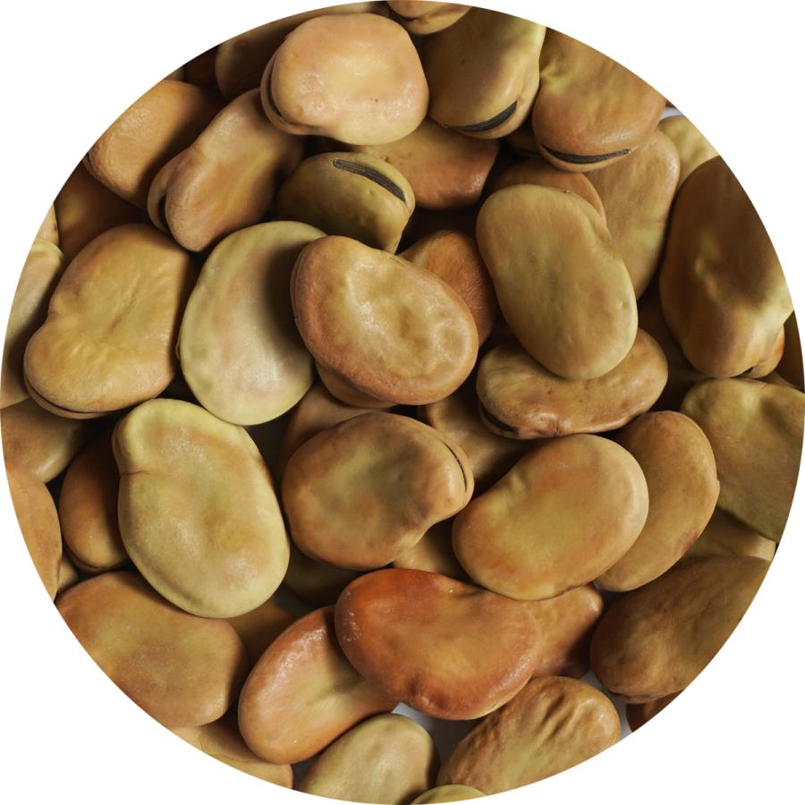 一寸 そら豆 500g ソラマメ 空豆 蚕豆 Broad bean Fava お歯黒