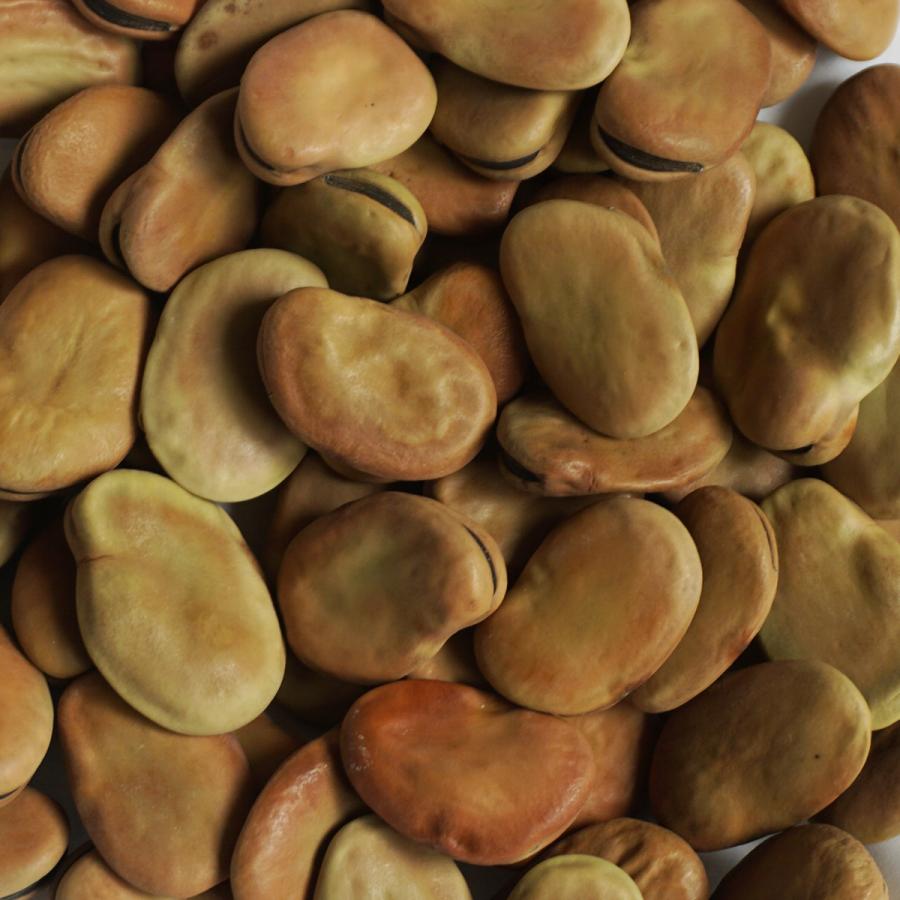一寸 そら豆 500g ソラマメ 空豆 蚕豆 Broad bean Fava お歯黒