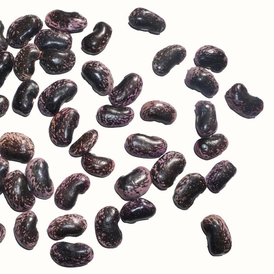 あがつま産 高原花豆 300g 大黒花芸豆 紫花豆 花豆 むらさきはなまめ