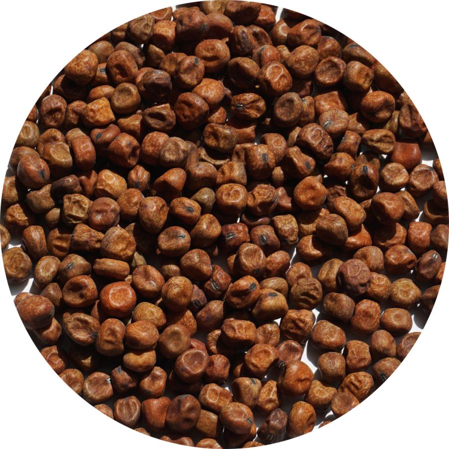 2025年度産 北海道産 赤えんどう 500g 赤えんどう豆 エンソウ エンドウ