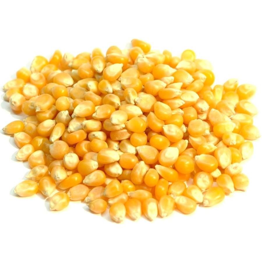 ポップコーン 500g トウモロコシ 種 popcorn ポップ コーン 豆 ビーンズ : アメ横大津屋スパイス・豆の専門店 - 通販 ...