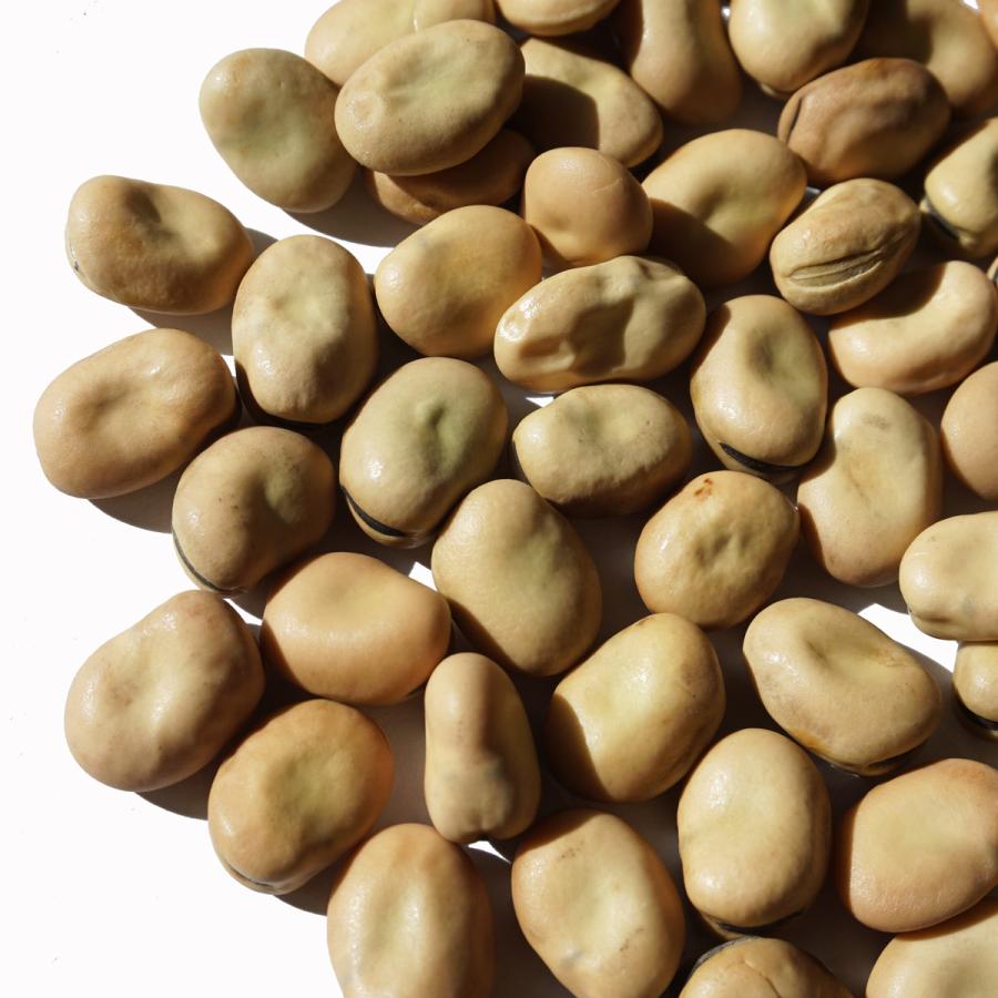 フール フール豆 10kg そら豆 ソラマメ 空豆 天豆 そらまめ ful 