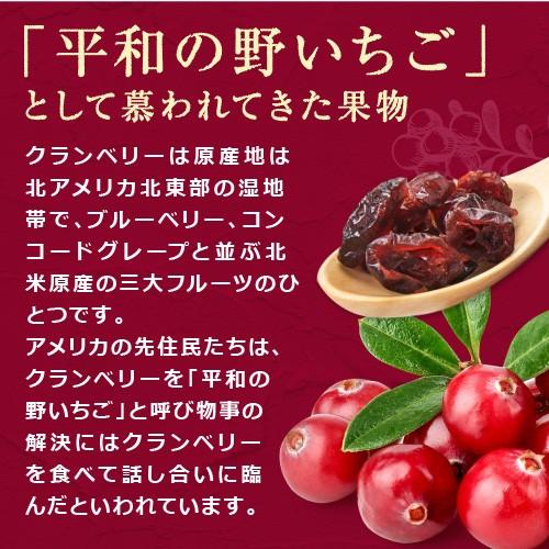 クランベリー 300g アメ横 大津屋 業務用 ドライ ナッツ ドライ