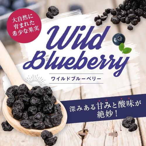 ノンオイル ワイルド ブルーベリー 1kg アメ横 大津屋 業務用 ナッツ ドライフルーツ 製菓材料 blueberry 野生 ぶるーべりー｜uenoohtsuya