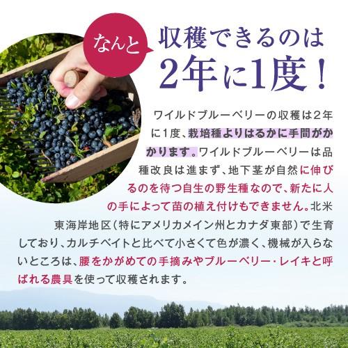 ノンオイル ワイルド ブルーベリー 1kg アメ横 大津屋 業務用 ナッツ ドライフルーツ 製菓材料 blueberry 野生 ぶるーべりー｜uenoohtsuya｜04