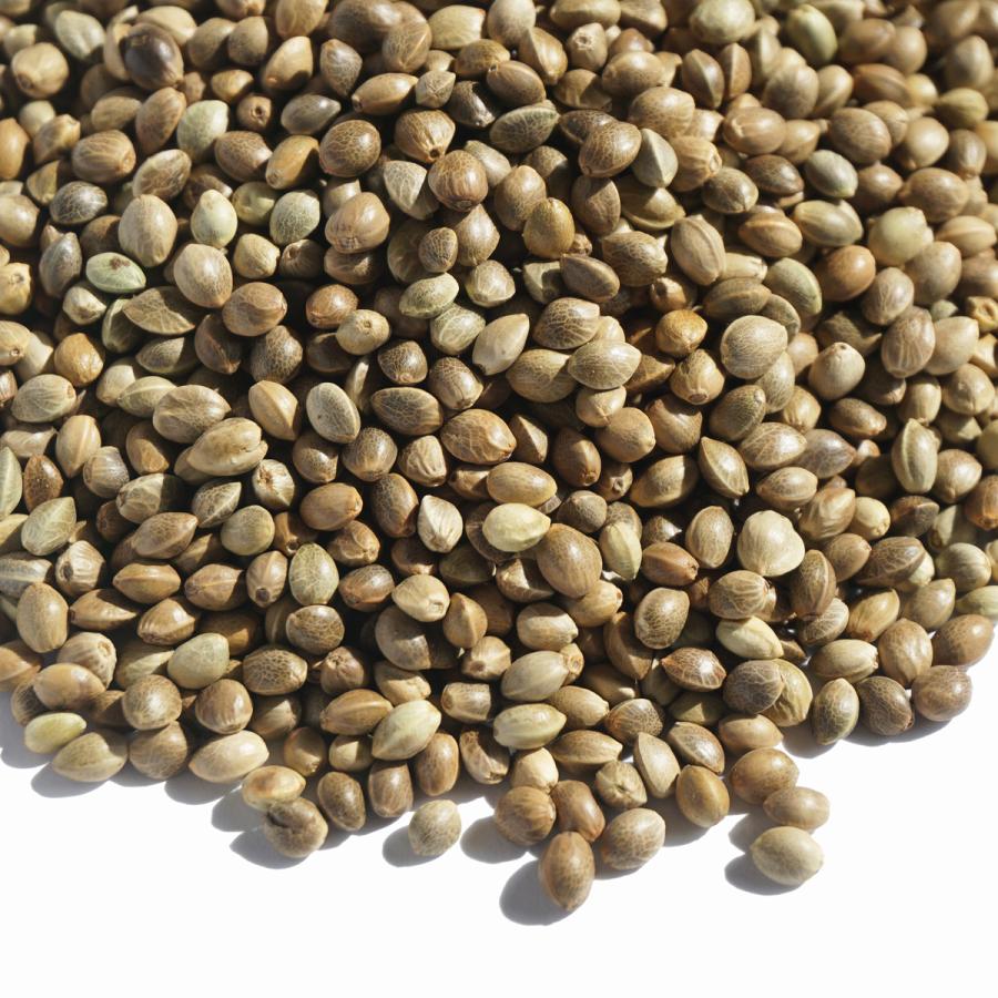 麻の実 100g 大津屋 業務用 ハーブ ティー ポプリ 種 ホール cannabis