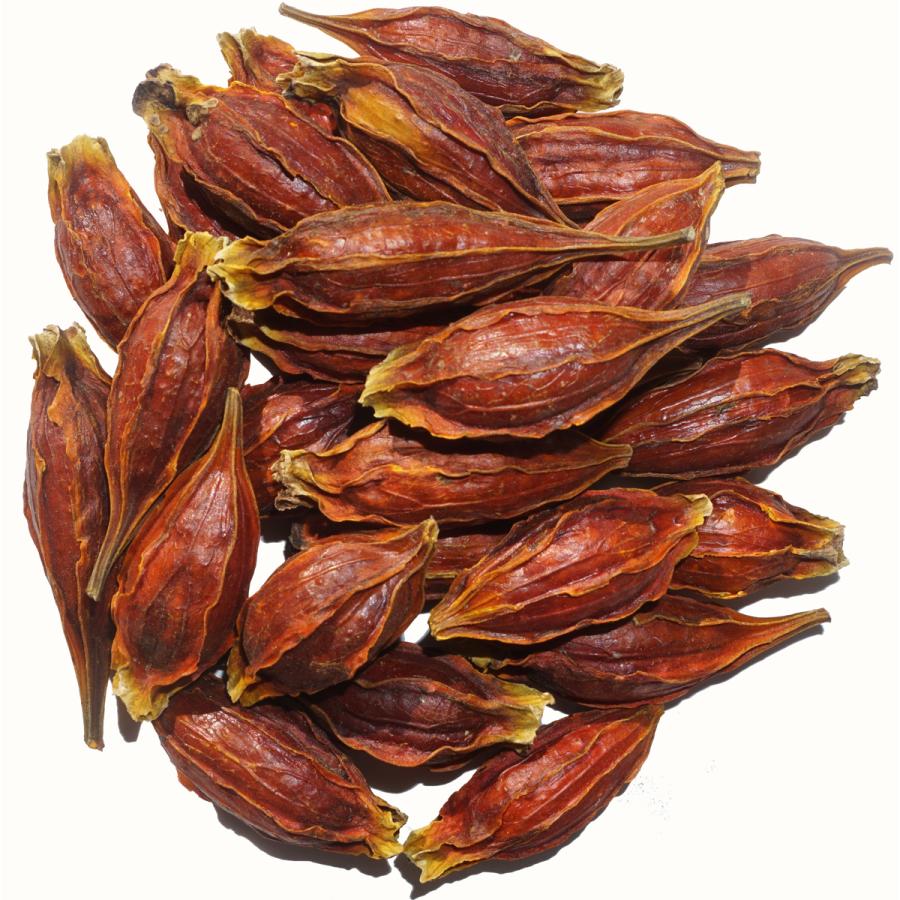 クチナシ 原形 50g くちなし 梔子 巵子 支子 センプク せんぷく 山梔子