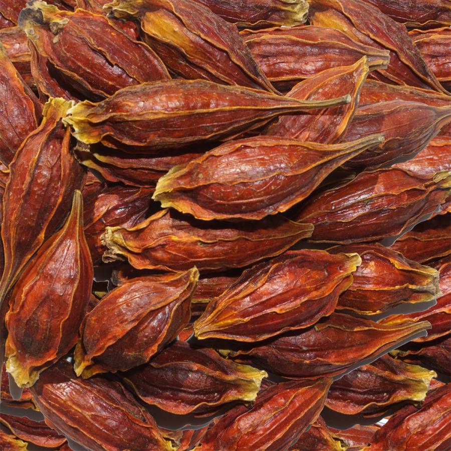 クチナシ 原形 50g くちなし 梔子 巵子 支子 センプク せんぷく 山梔子