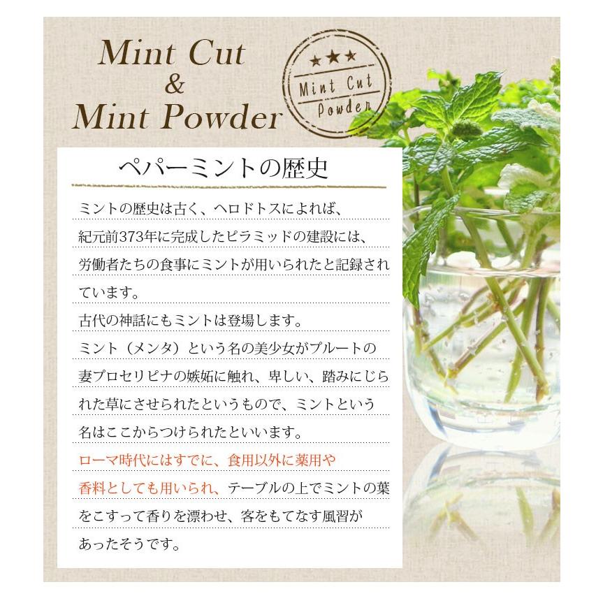 ペパーミント 50g スパイス ハーブ mint ハッカ 薄荷 ペパー ミント