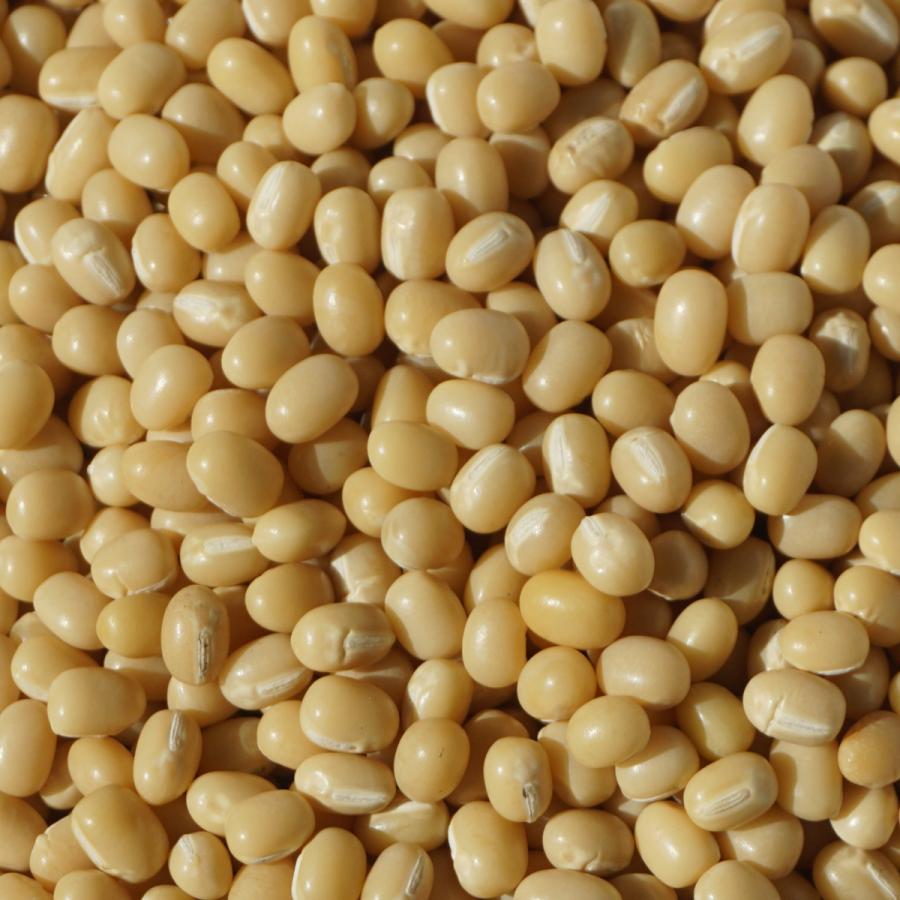 2022年度産 北海道 白小豆 5kg アメ横 大津屋 白 小豆 豆 azuki bean