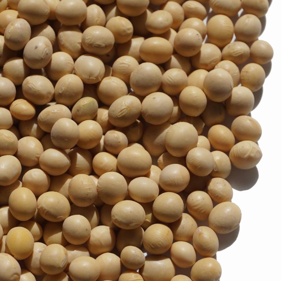 だいず カナダ産 大豆 20kg アメ横 大津屋 soybean ダイズ だいず 豆 輸入豆