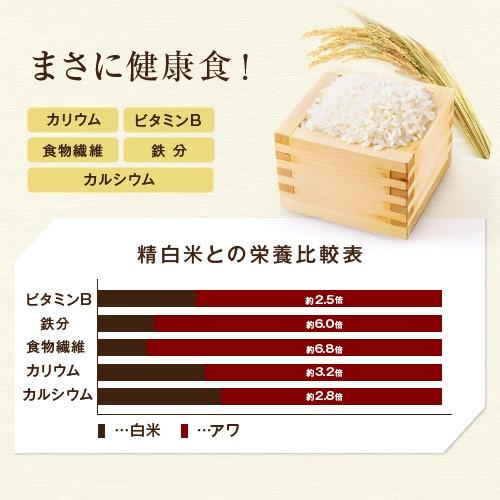 もちあわ 500g アワ 粟 あわ 糯アワ foxtail millet bengal grass 穀物