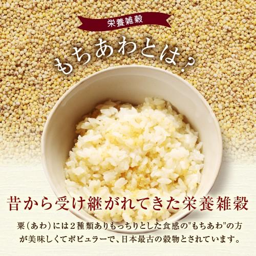 もちあわ 500g アワ 粟 あわ 糯アワ foxtail millet bengal grass 穀物