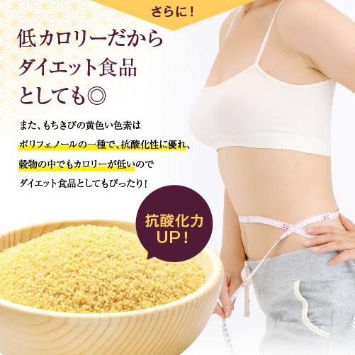 国産北海道産もちきび 220g モチ キビ 黍 稷 きび 五穀 黄実 proso millet 吉備団子 稷きび kibi 雑穀 雑穀米 配送｜uenoohtsuya｜06