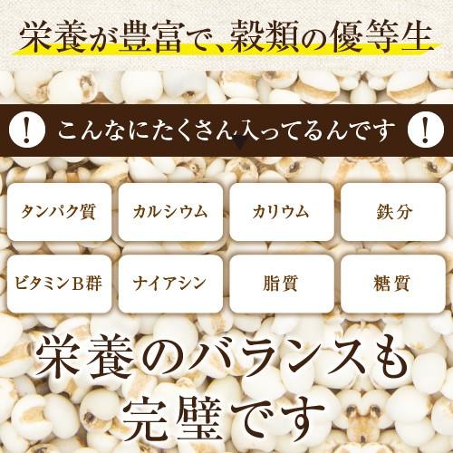 はとむぎ 鳩麦 500g ハトムギ アメ横 大津屋 Job's tears Adlay よくい