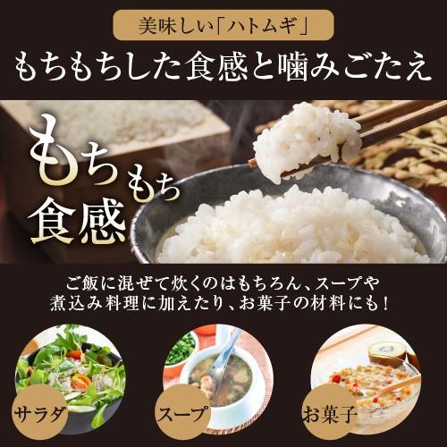 はとむぎ 鳩麦 500g ハトムギ アメ横 大津屋 Job's tears Adlay よくい