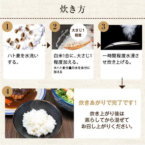国産 はとむぎ 20kg 鳩麦 ハトムギ アメ横 大津屋 Job's tears Adlay
