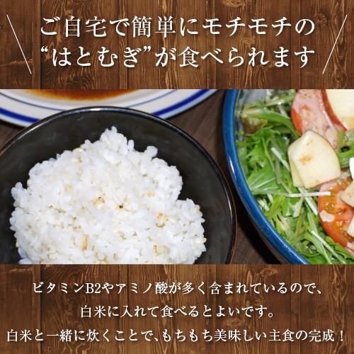 国産 はとむぎ 20kg 鳩麦 ハトムギ アメ横 大津屋 Job's tears Adlay