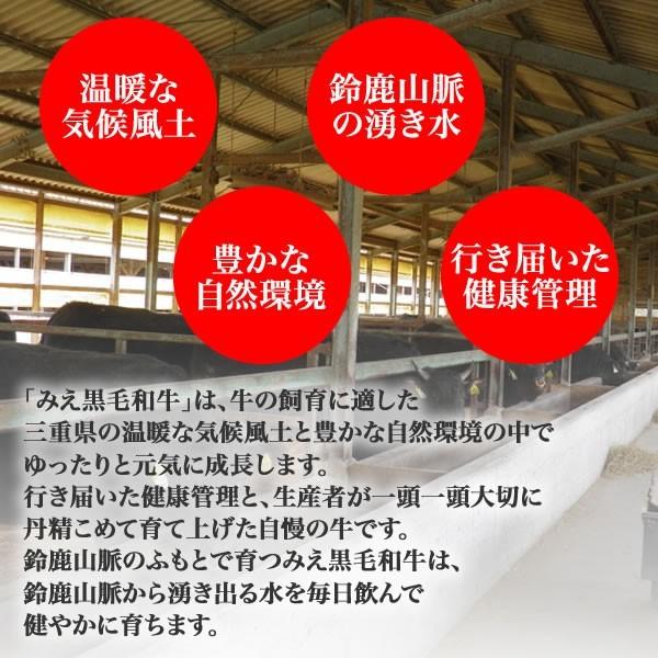 みえ黒毛和牛牛脂＜200g＞ 脂身 ヘット 肉料理 ハンバーグ ステーキ 焼肉 : 上食 ueshoku - 通販 - Yahoo!ショッピング
