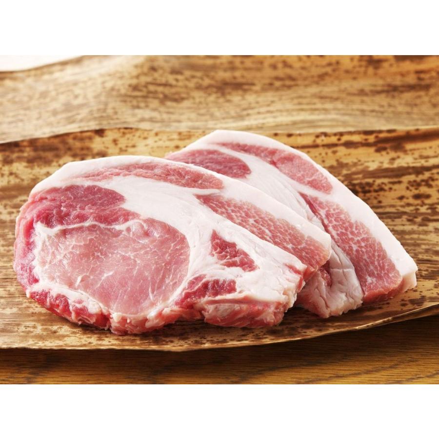 米澤豚一番育ち ロース トンカツ (120gx4枚)【ご自宅用】送料無料 | 山形県産のおいしい三元豚