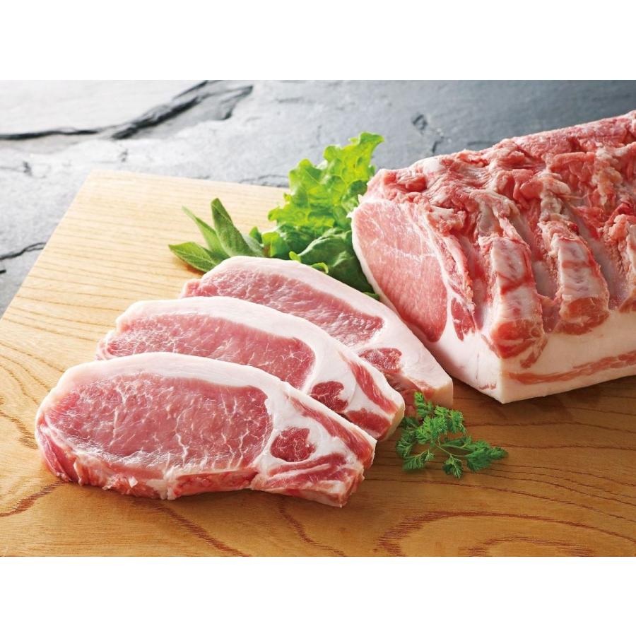 米澤豚一番育ち ロース トンカツ (120gx4枚)【ご自宅用】送料無料 | 山形県産のおいしい三元豚