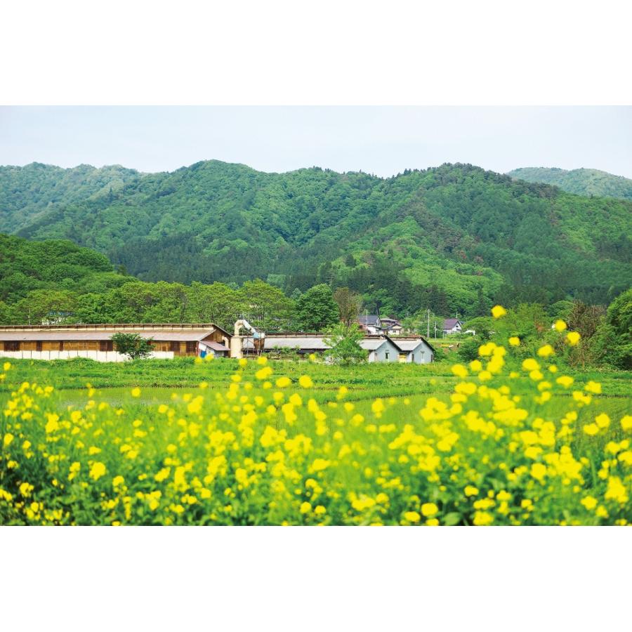 米澤豚一番育ち ロース トンカツ (120gx4枚)【ご自宅用】送料無料 | 山形県産のおいしい三元豚