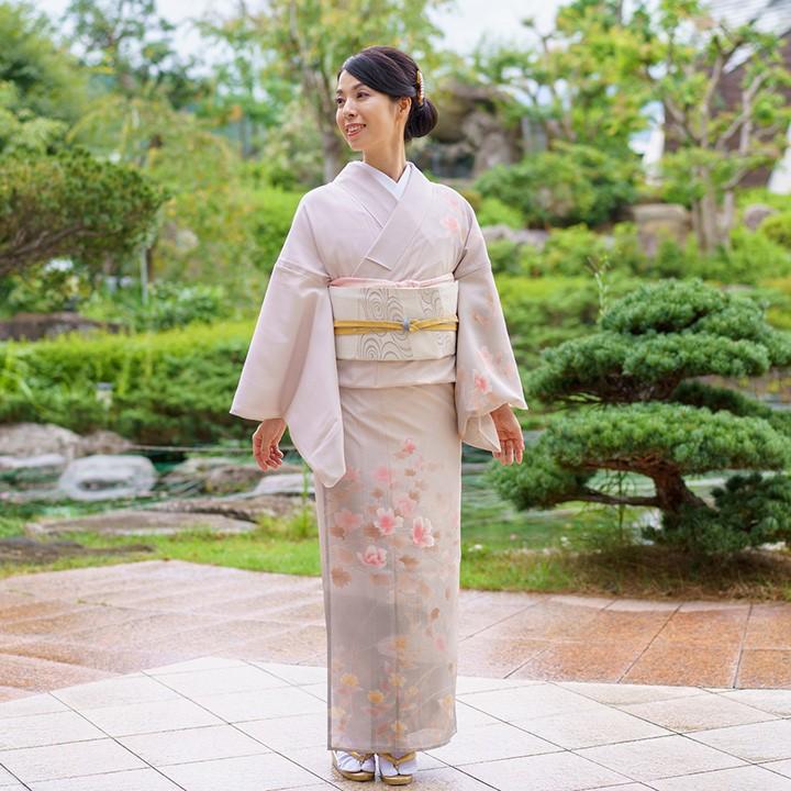 D313 夏着物　訪問着　蝶々　絽　正絹　極美品 D313 夏着物 訪問着 蝶々 絽 正絹 極美品